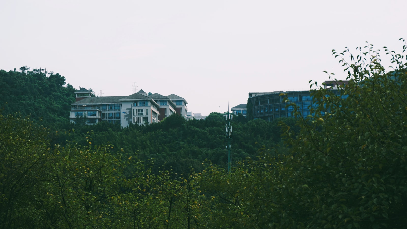 Buildings nestled in a lush, green hillside.