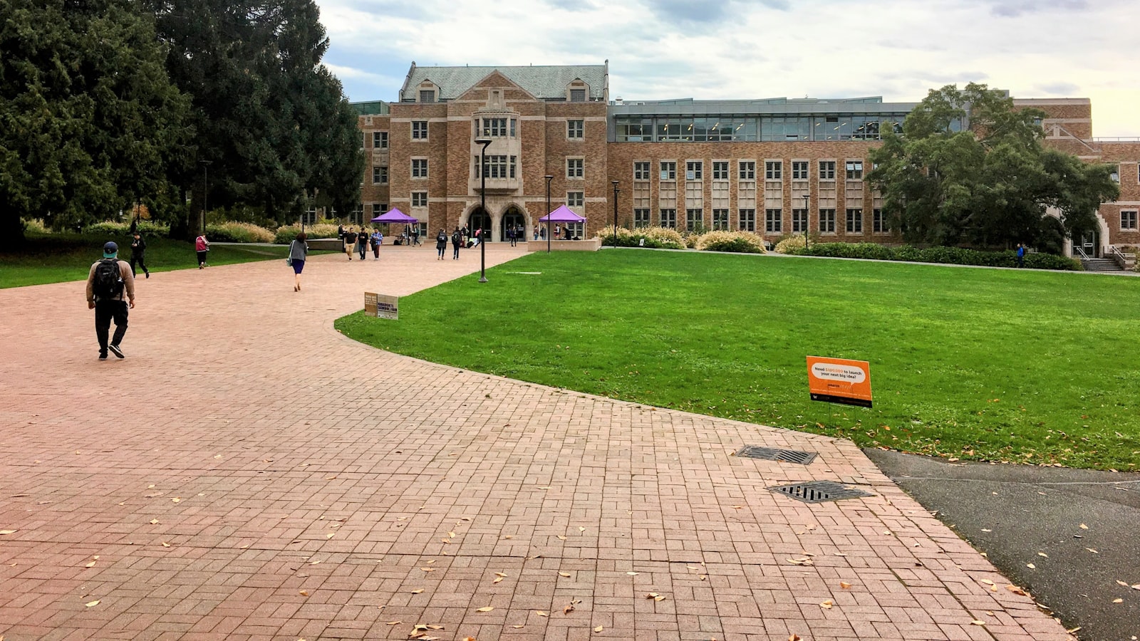 a group of people walking across a lush green field