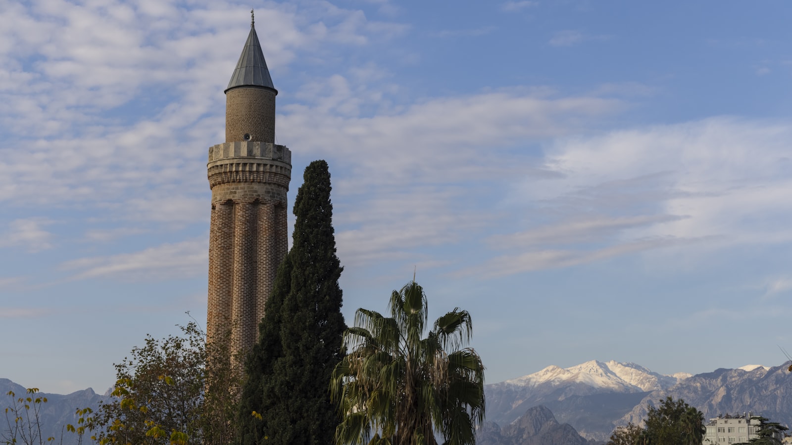 green palm trees near mountain during daytime