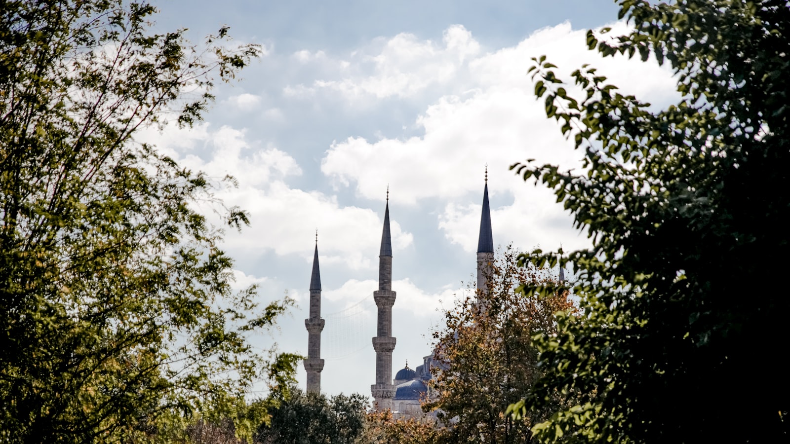 a group of trees with a building in the background
