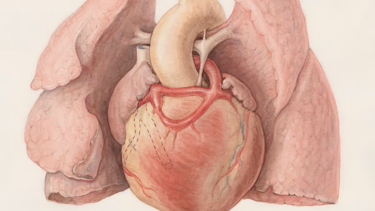 عام — Intermountain Health performs record-breaking 515 organ transplants in 2025 - kutv.com