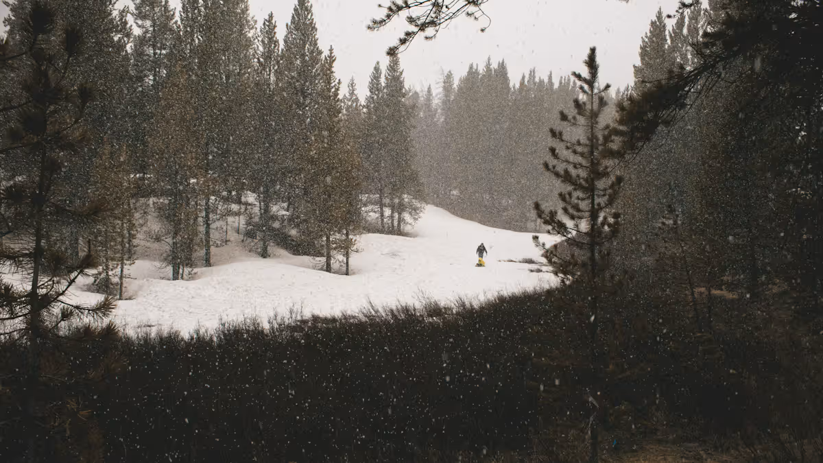 عام — Recovery Underway in Alamance County After Ice and Snow, But Travel Remains Cautious - wf…