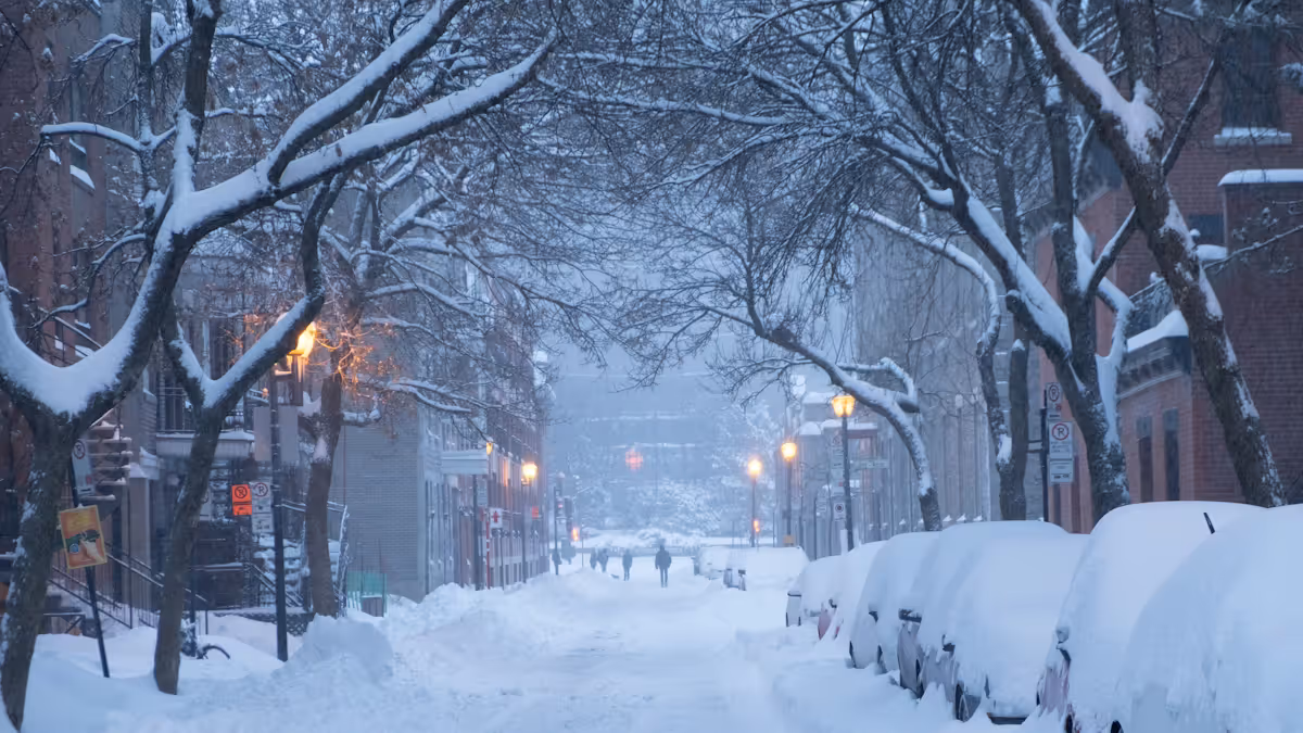 عام — Snowstorm brings economic boom to some Delaware County businesses while others struggle -…