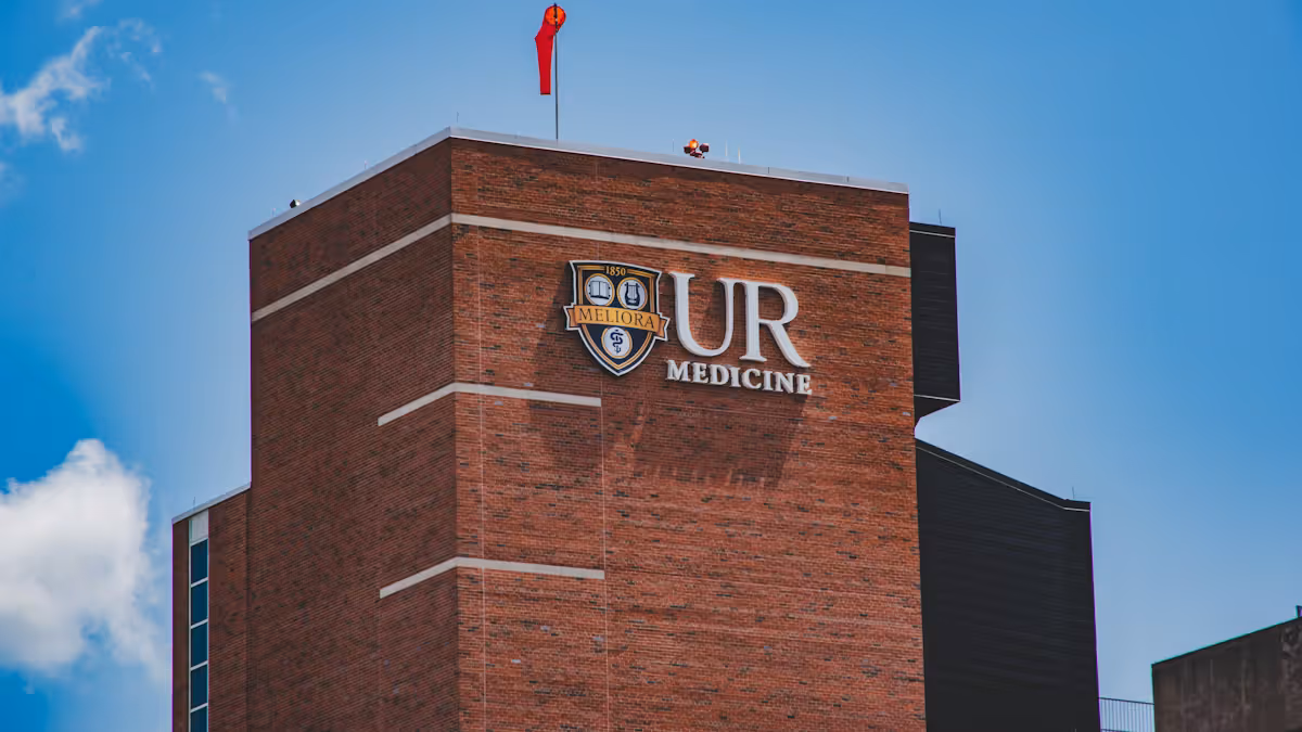 عام — top universities in the world