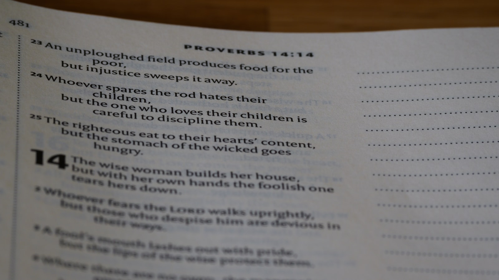 طلاب يجهزون ملف التقديم للمنحة