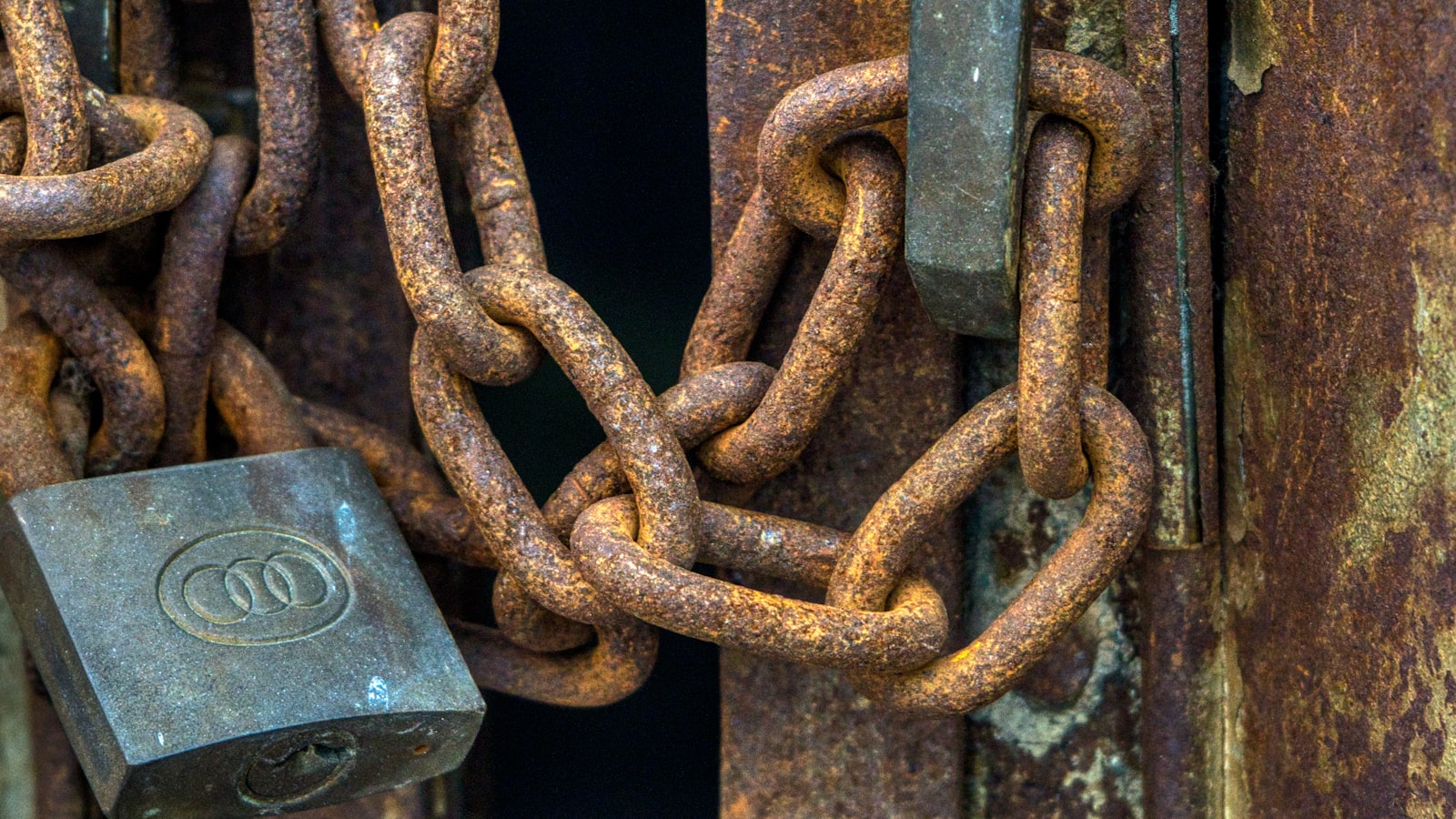 تجربة GPT-5 مجاناً: هل هذا ممكن؟ وكيف تصل إليه؟