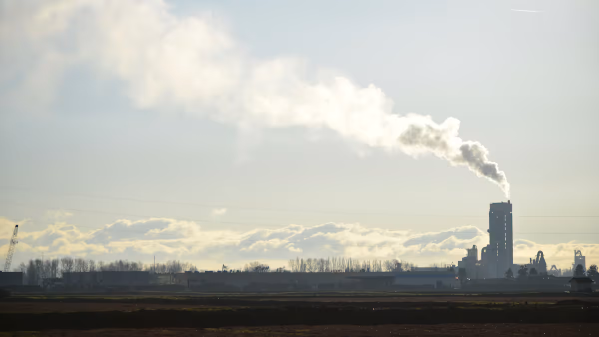 عام — Carbon Credit Business Report 2026: Market to Grow by 18% to Reach $4,938.7 Bn - Investme…