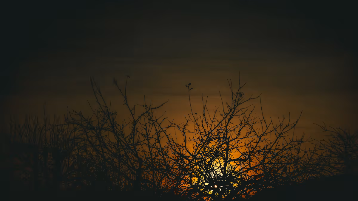 عام — 'Normal life has disappeared': Russia's energy offensive plunges Ukraine into dark and bi…