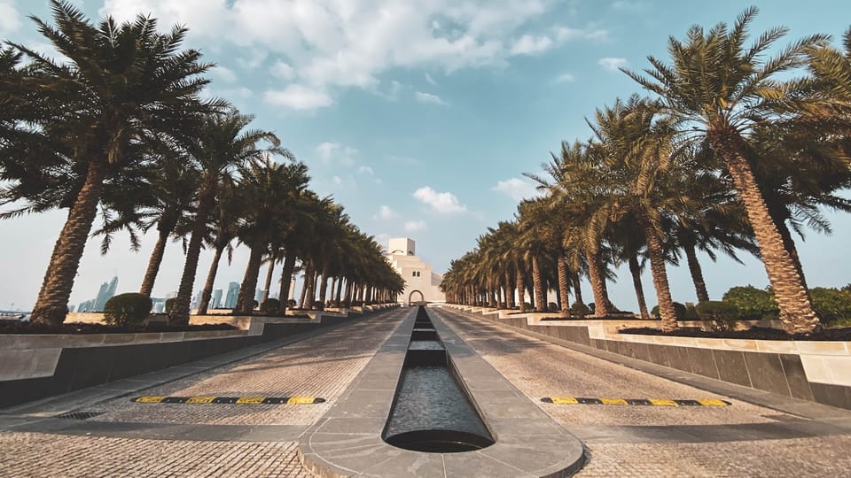 palm trees on gray concrete road under blue sky during daytime