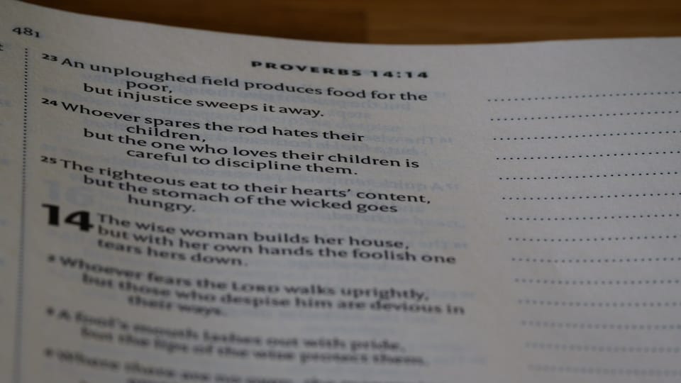 طلاب يجهزون ملف التقديم للمنحة