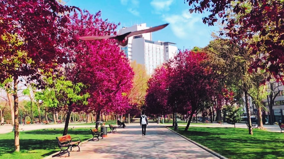 طلاب جامعيون في تركيا يحملون بطاقات الإقامة