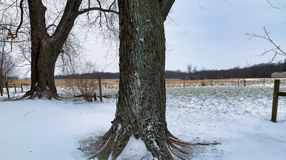 عام — Death Toll Rises as Cities Face Frigid Cold and Power Outages After Snowstorm: Live Updat…