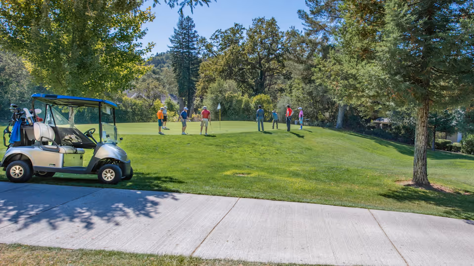 عام — dp world tour