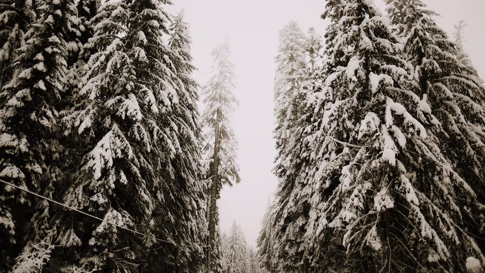 عام — WNDU Breaking News Update: Elkhart County police urge you to stay off Bypass - WNDU