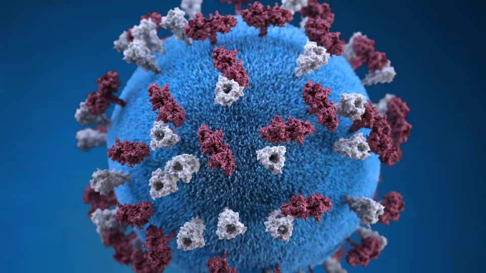 عام — Orange County confirms second measles case in traveler who visited Disneyland, California…