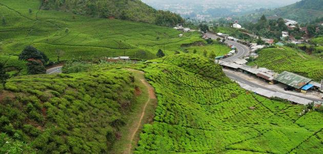 أفضل الأماكن في بونشاك