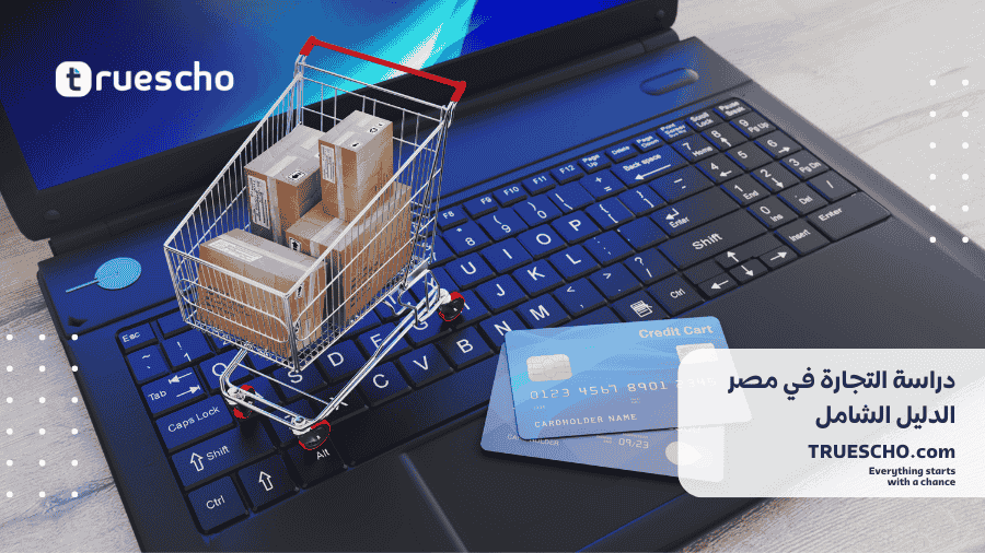 دراسة التجارة في مصر