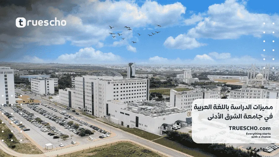 تخصصات باللغة العربية