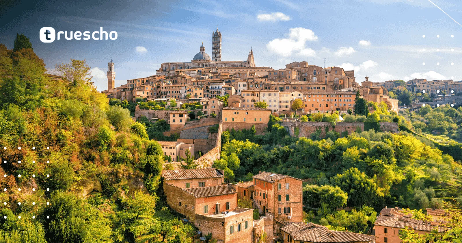 جامعة البوليتكنيك