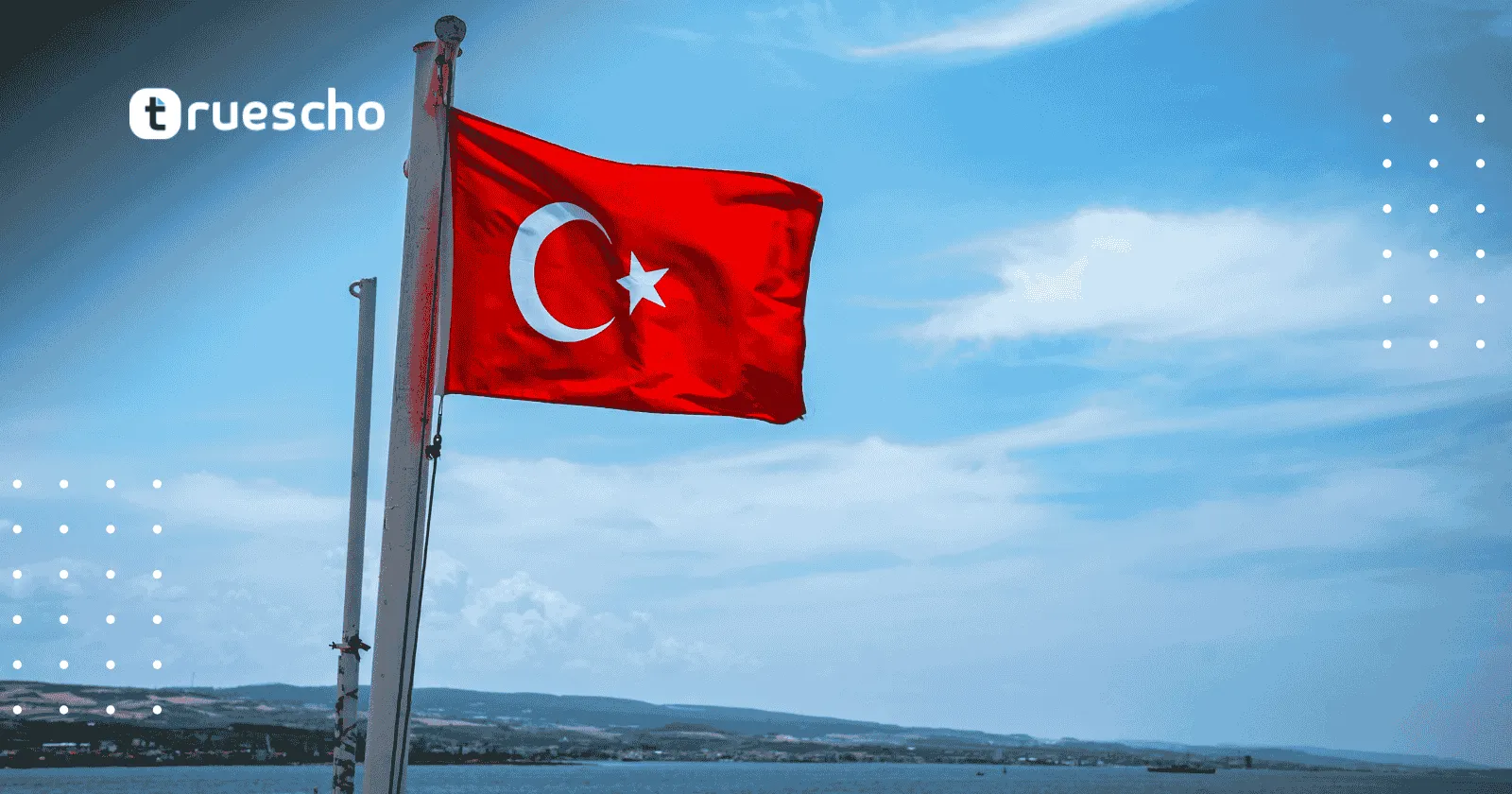 المساعدة المالية التي توفرها المنحة