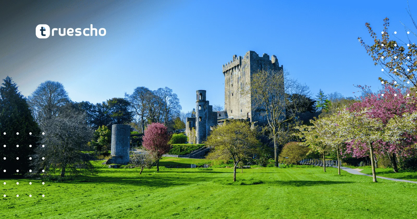 الدراسة في أيرلندا