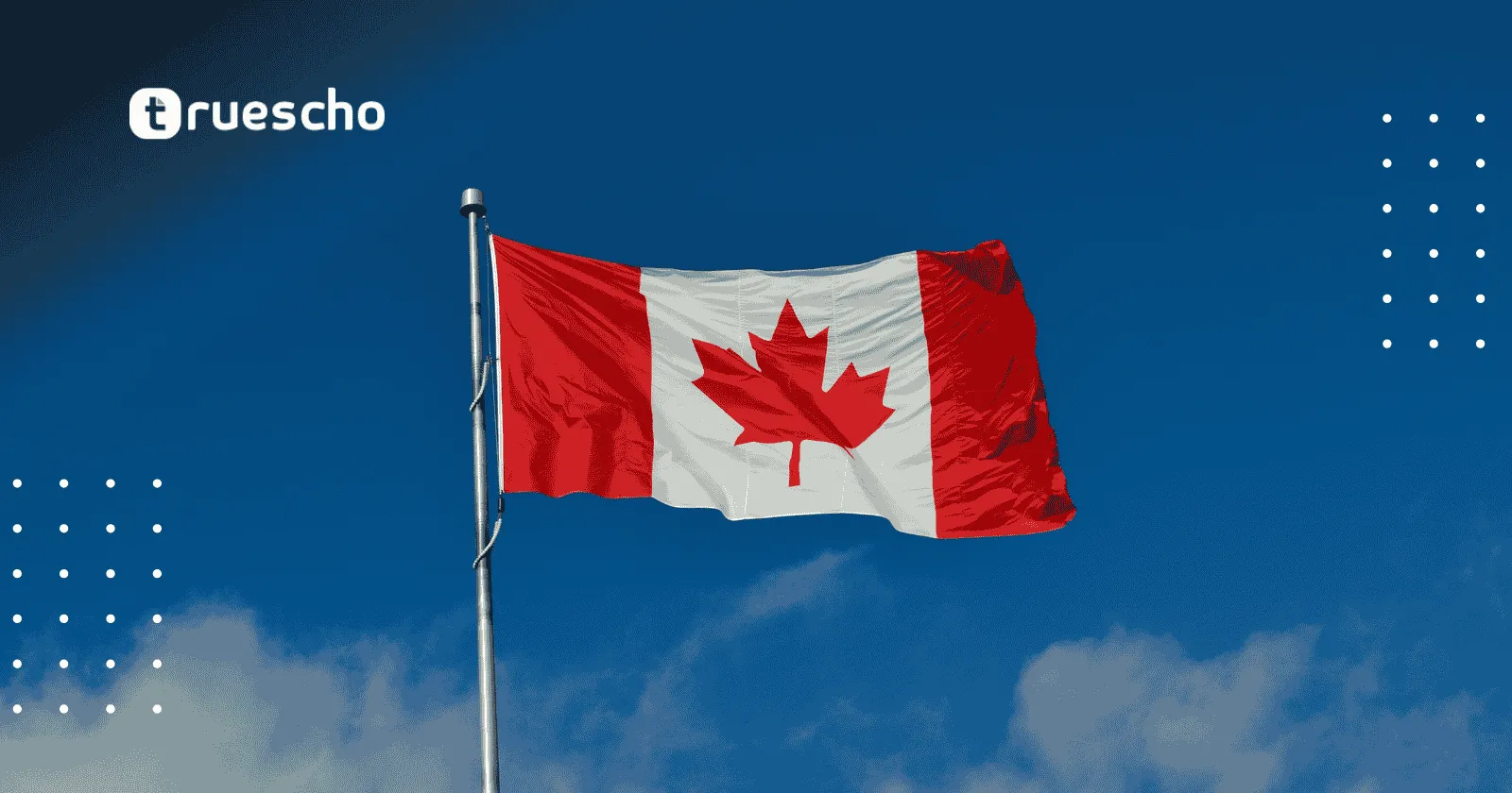 زمالة الشباب المحترفين في كندا