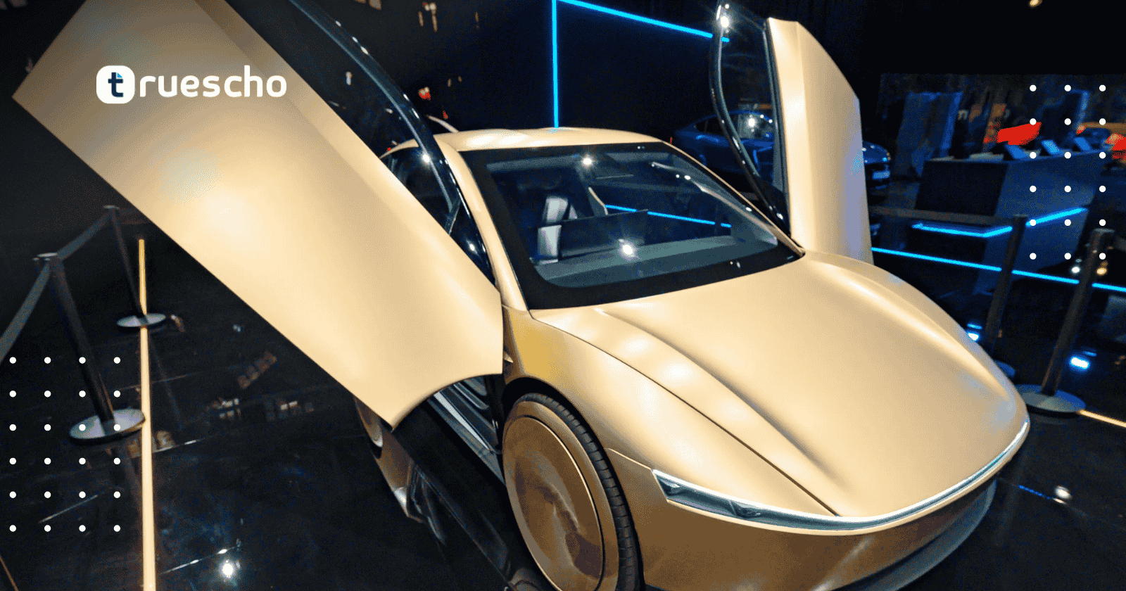 تصريح نقل الركاب لتسلا في كاليفورنيا