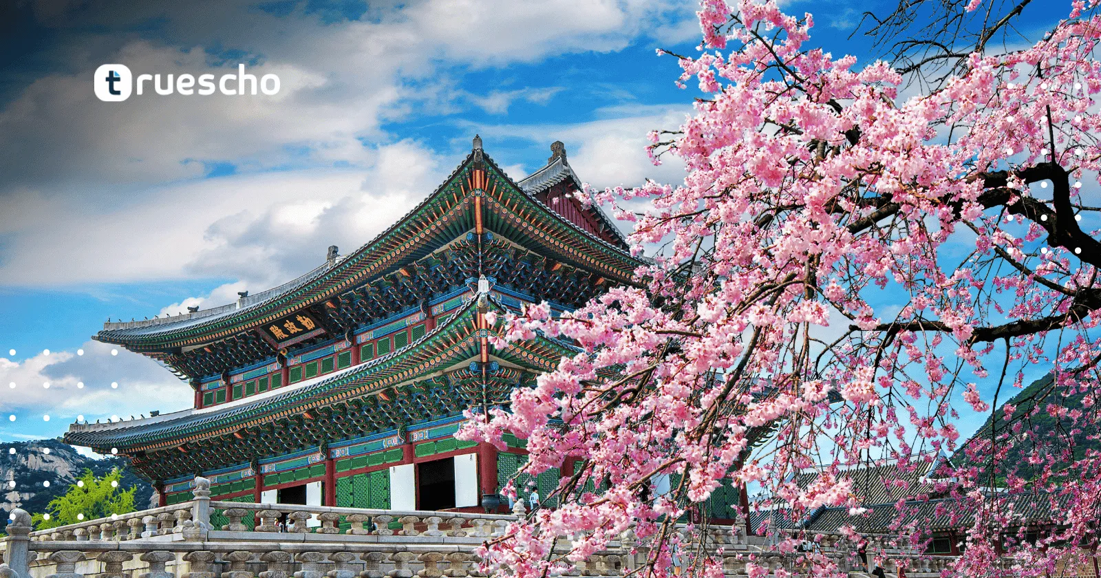 منح جيست الدراسية