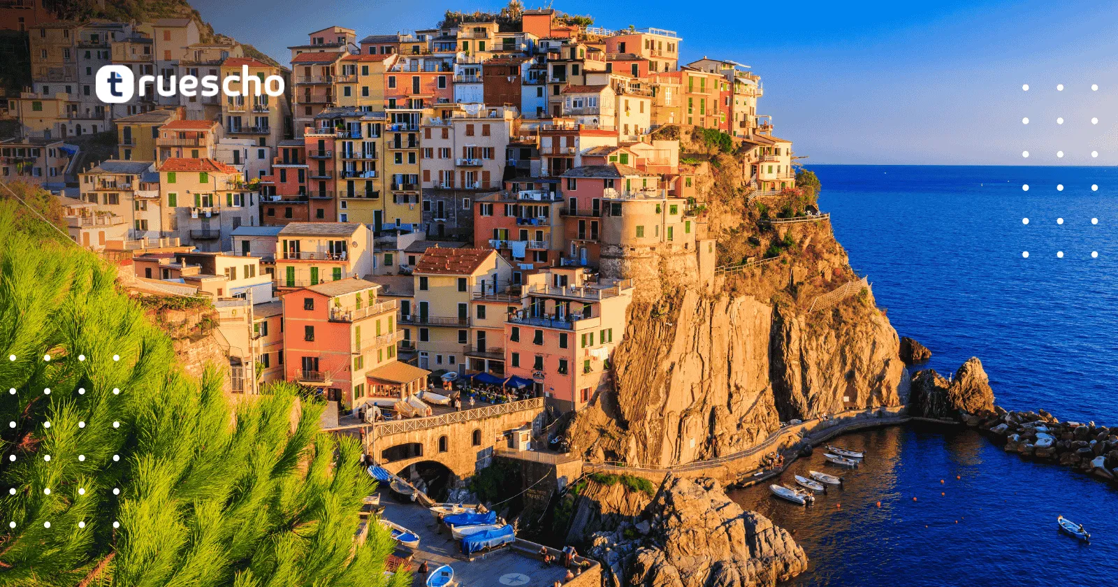  التقديم لجامعة سالينتو