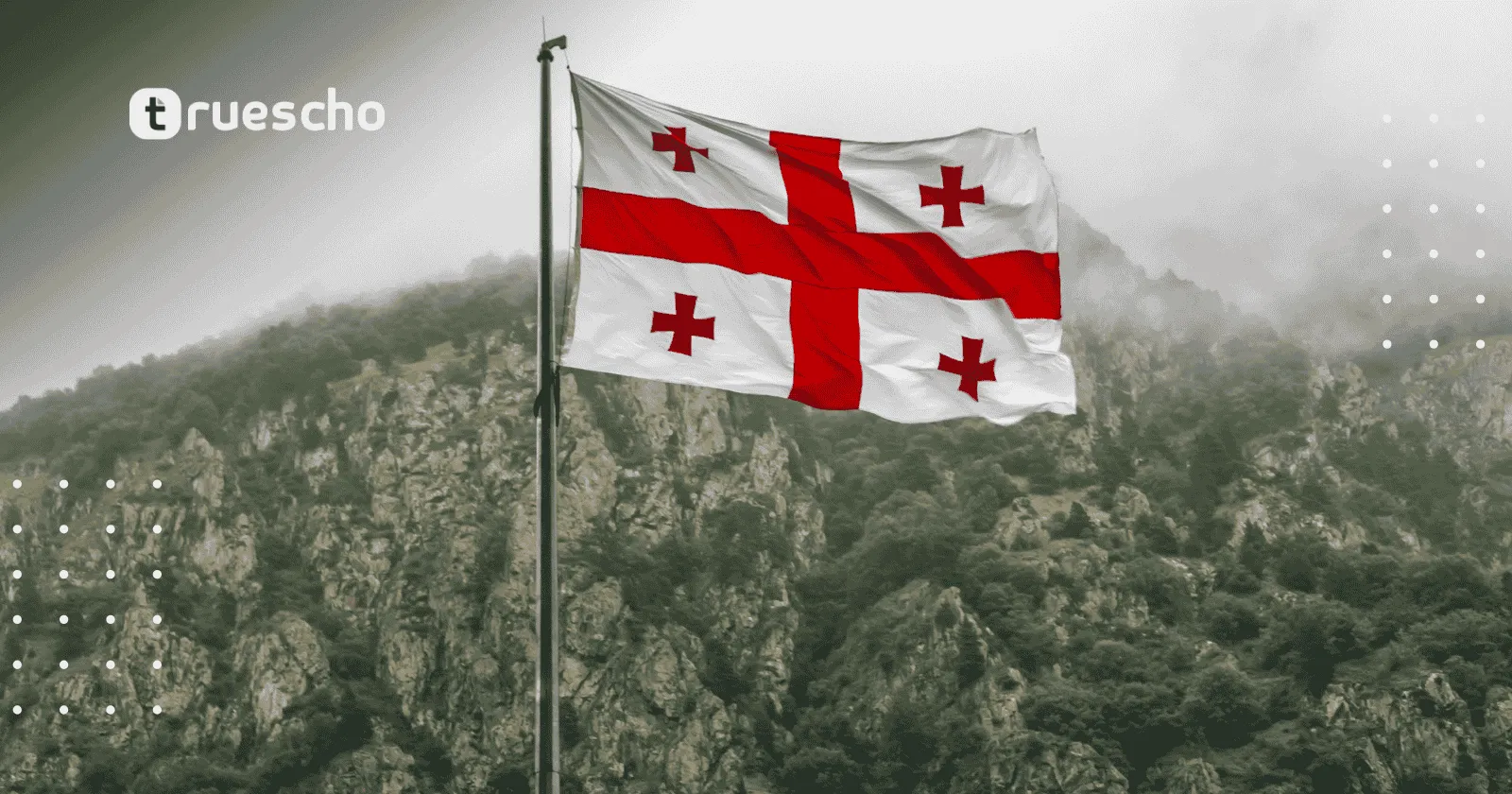 زمالة الشباب المهنيين