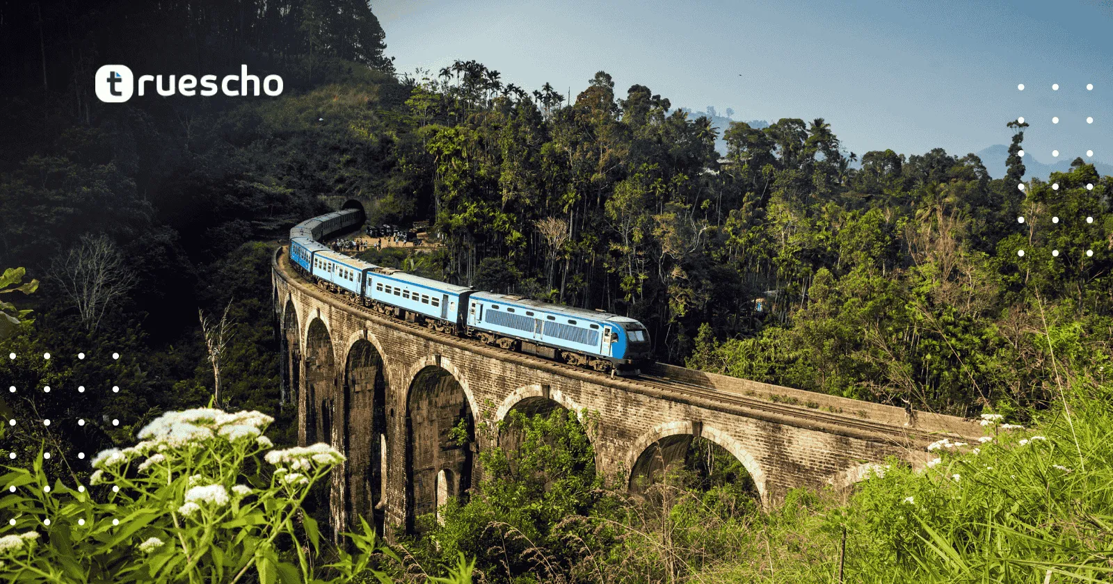 منح الملكة إليزابيث للكومنولث