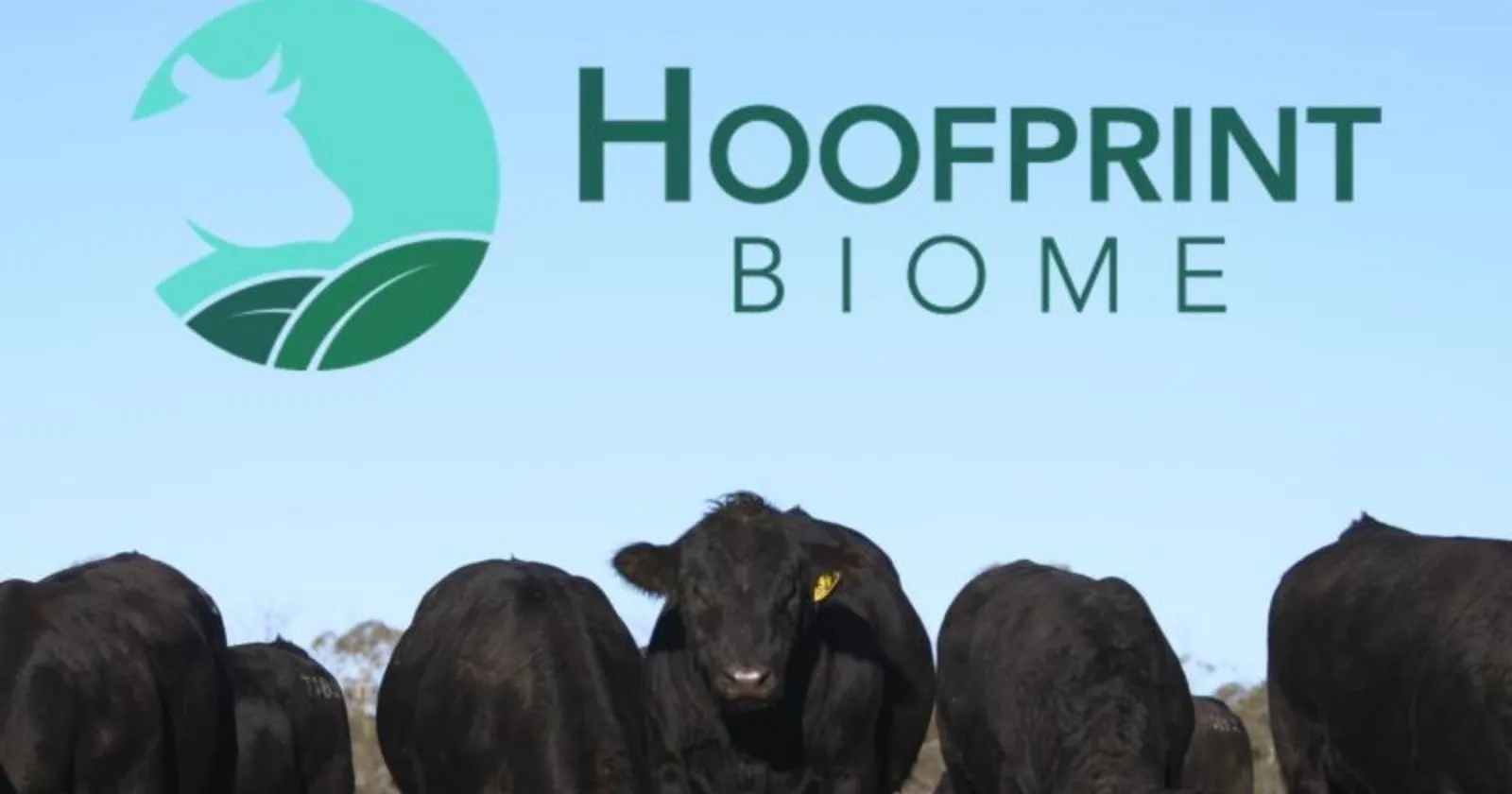 Hoofprint Biome