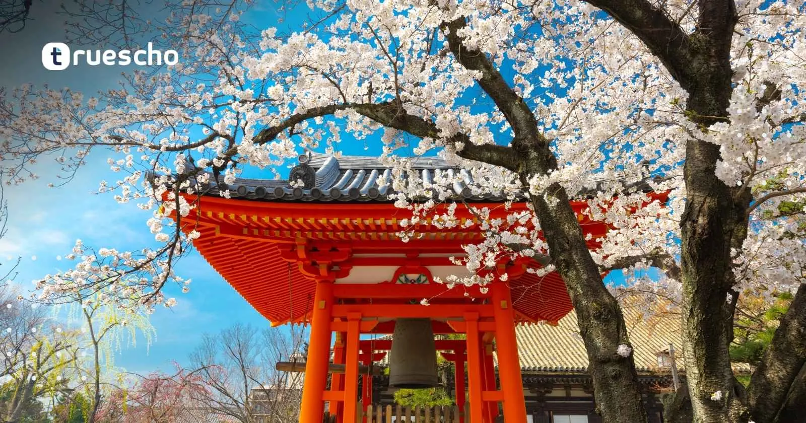 الدراسة في اليابان