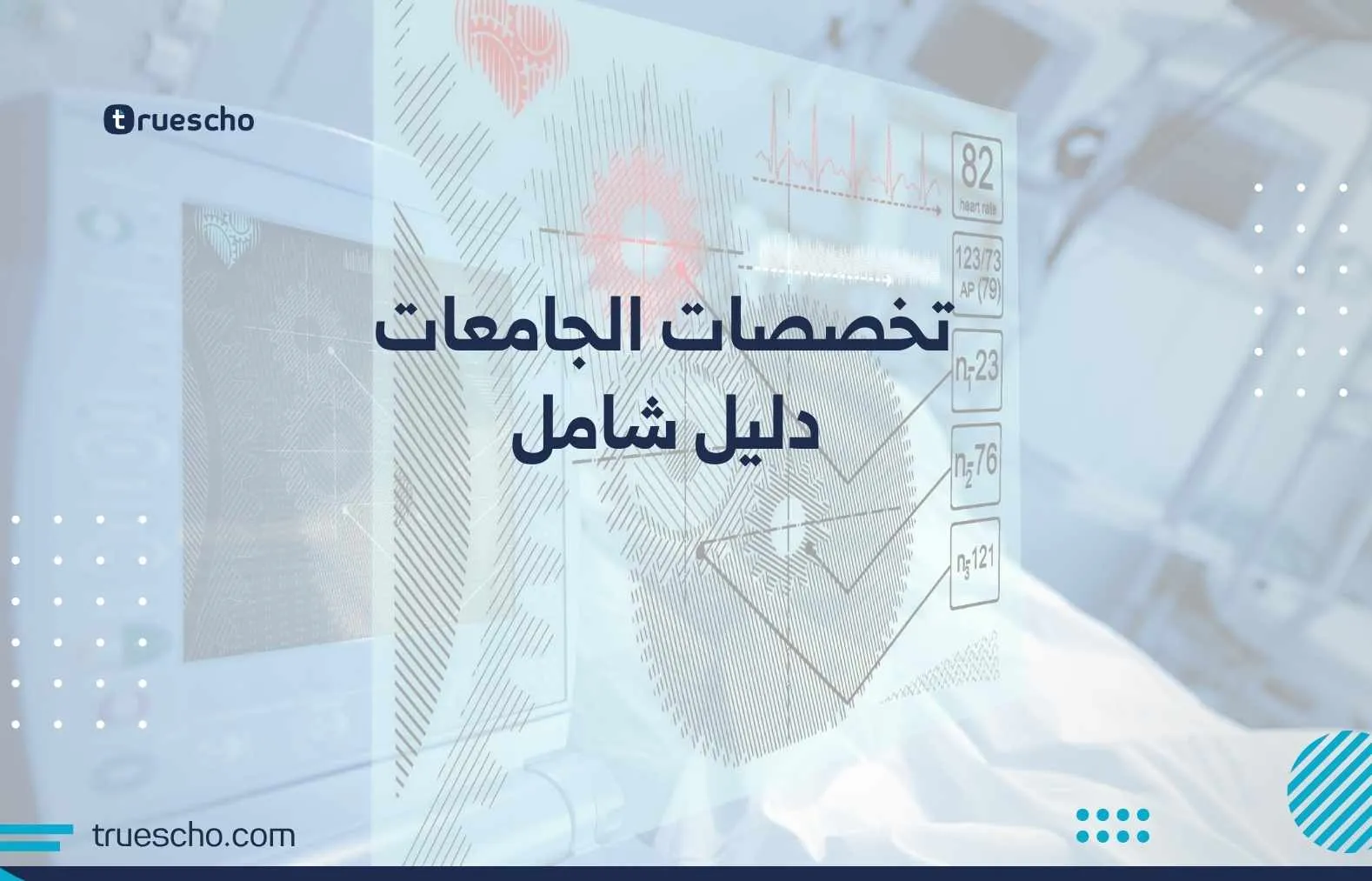 تخصصات الجامعات