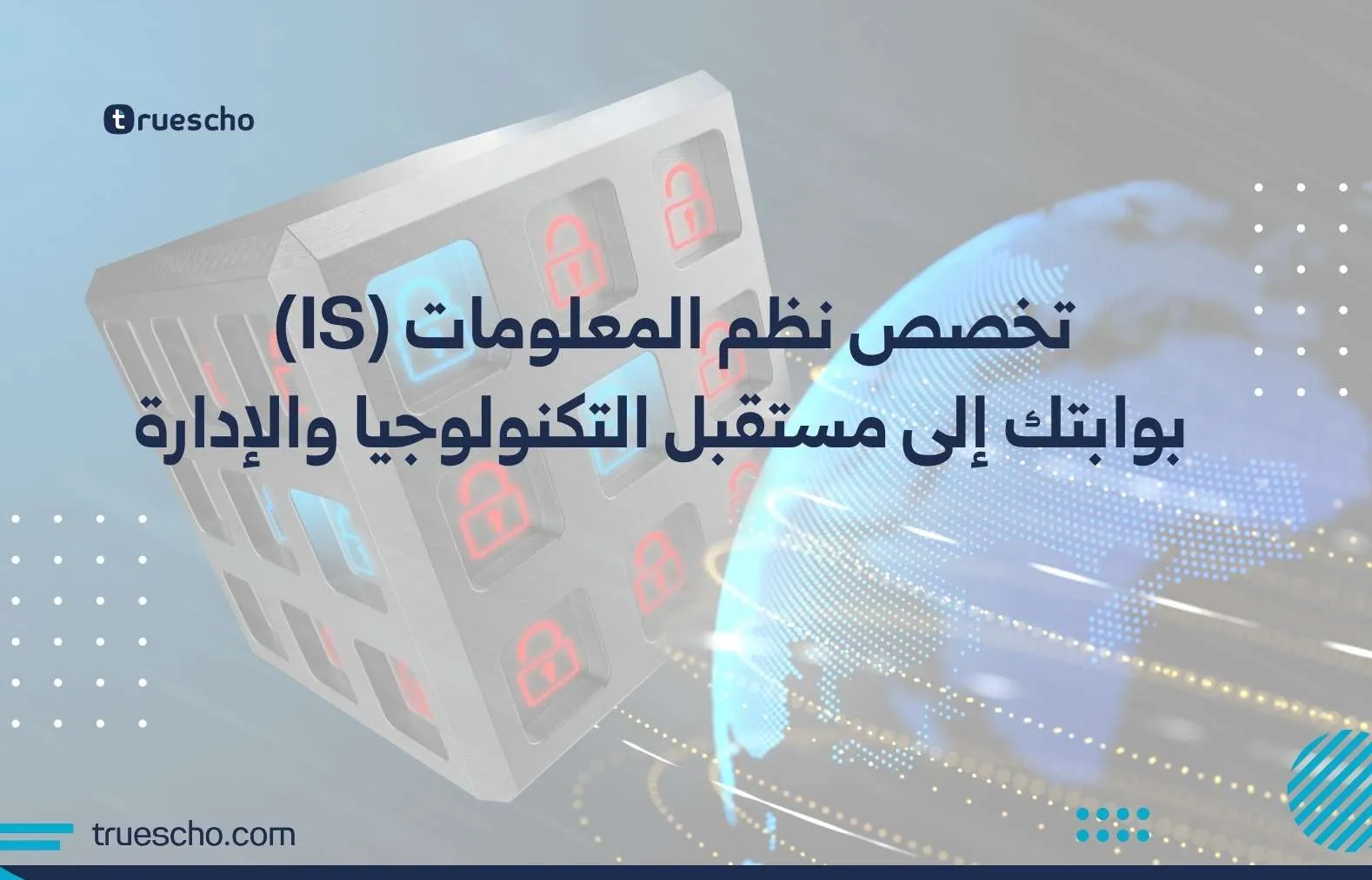 تخصص نظم المعلومات