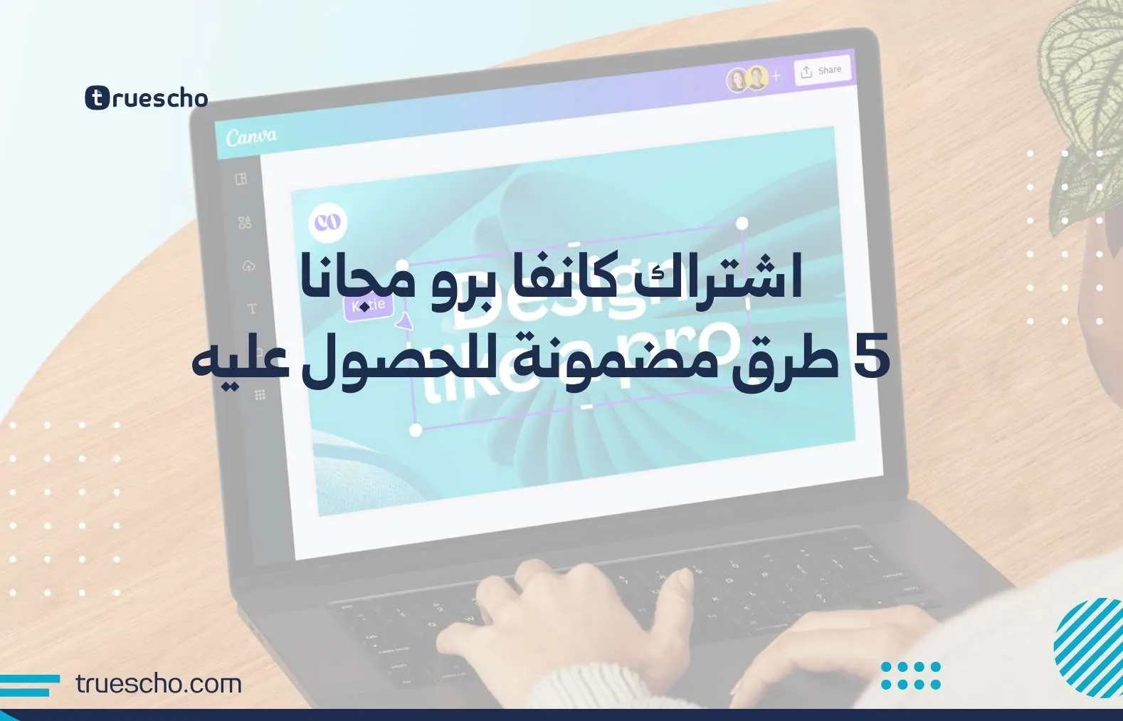 اشتراك كانفا برو مجانا