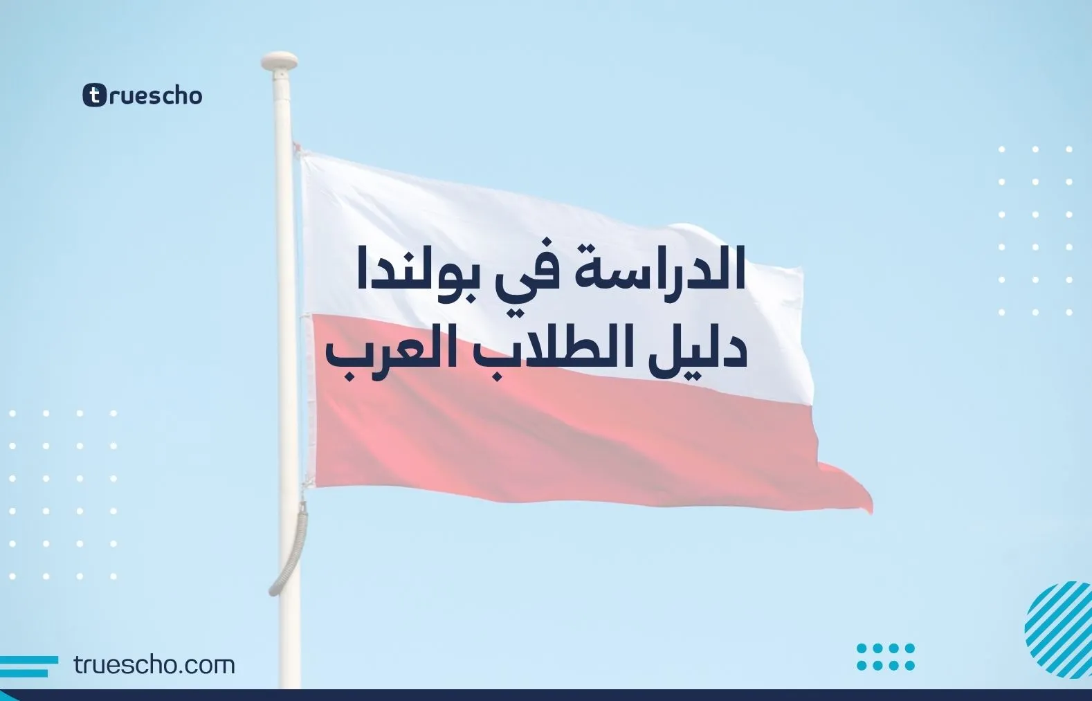 الدراسة في بولندا