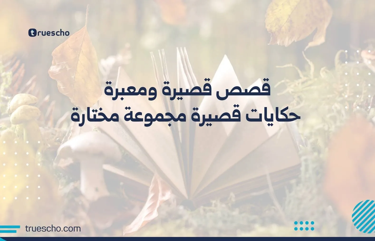 قصص قصيرة ومعبرة