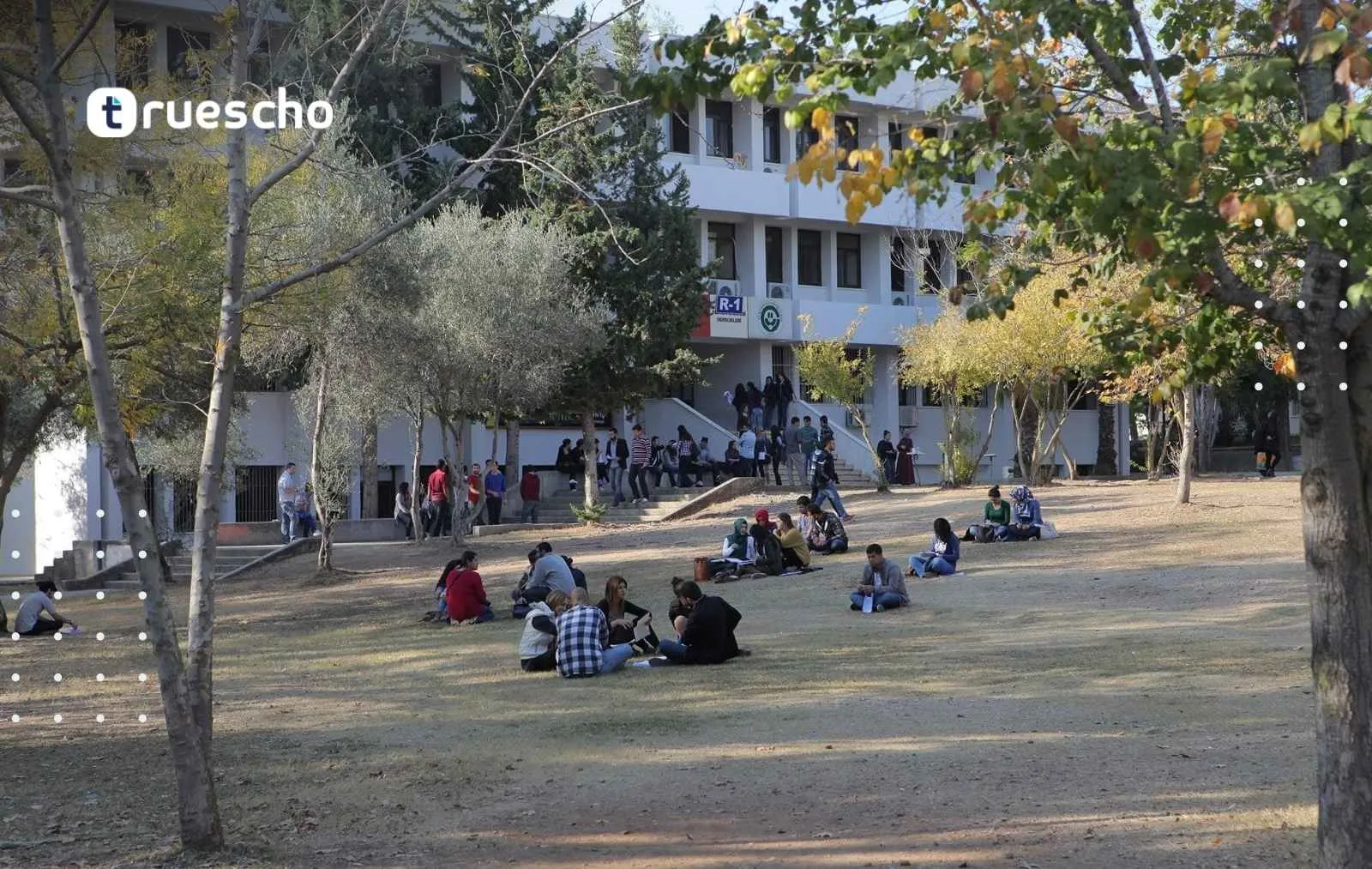 جامعة تشوكوروفا التركية