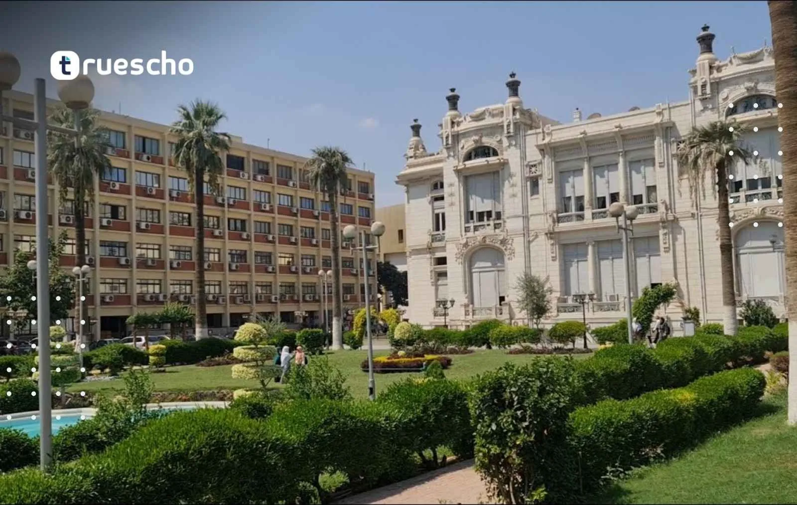 تخصصات جامعة عين شمس