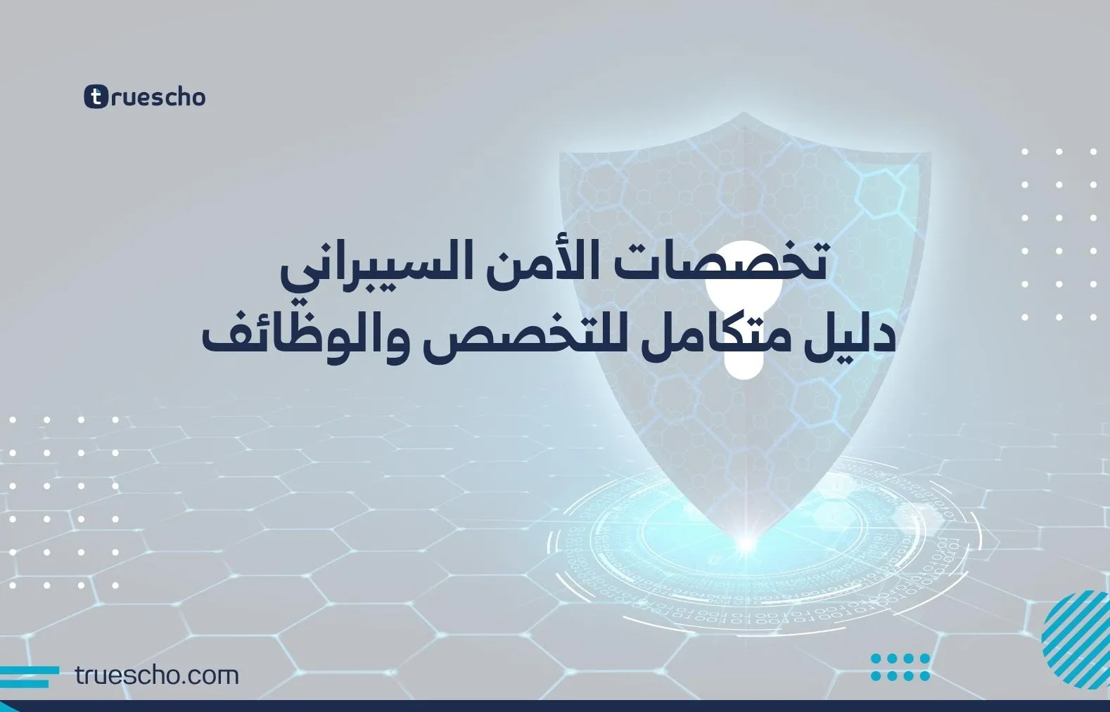 تخصصات الامن السيبراني