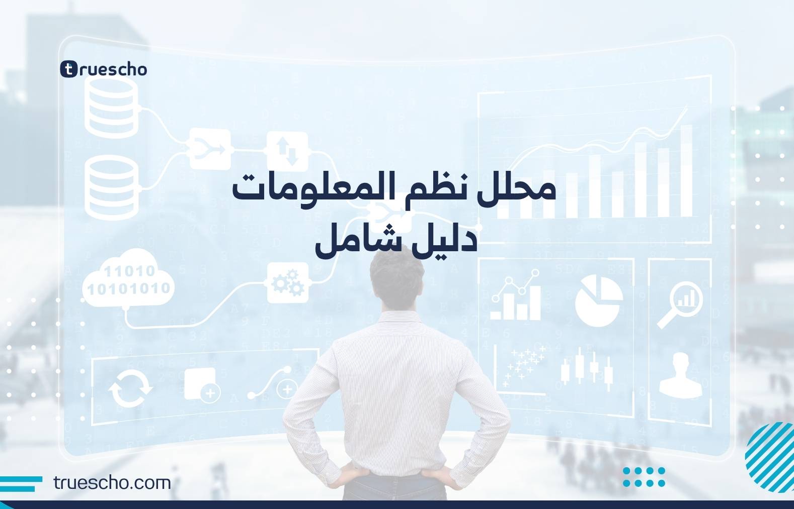 محلل نظم المعلومات